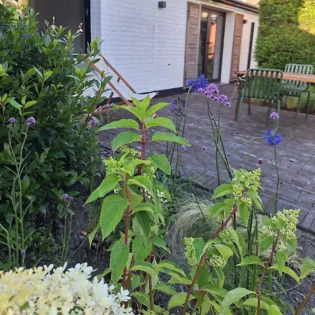 Vakantiehuis Maison Brunes Téteghem